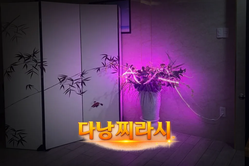 다낭 한인 사쿠라 DLG 인테리어 소품입니다.